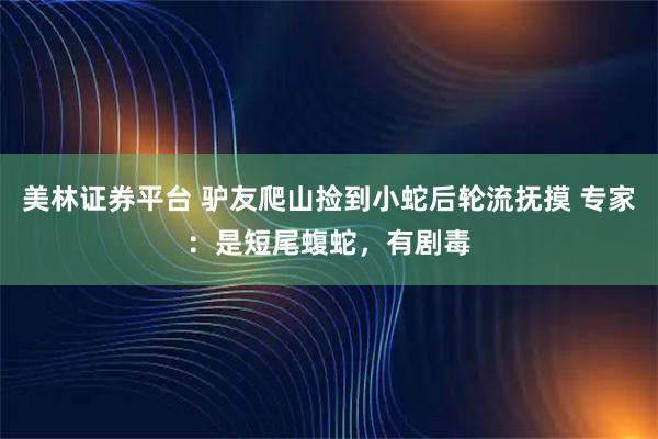 美林证券平台 驴友爬山捡到小蛇后轮流抚摸 专家：是短尾蝮蛇，有剧毒