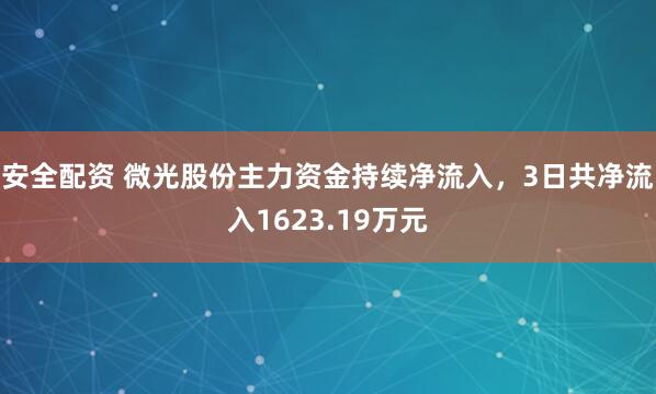 安全配资 微光股份主力资金持续净流入，3日共净流入1623.19万元