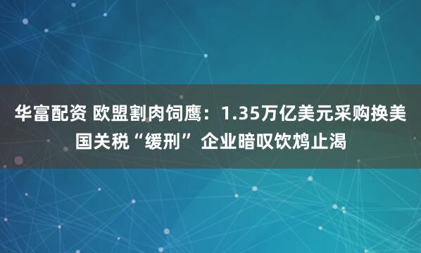 华富配资 欧盟割肉饲鹰：1.35万亿美元采购换美国关税“缓刑” 企业暗叹饮鸩止渴