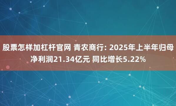 股票怎样加杠杆官网 青农商行: 2025年上半年归母净利润21.34亿元 同比增长5.22%