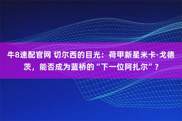 牛8速配官网 切尔西的目光：荷甲新星米卡·戈德茨，能否成为蓝桥的“下一位阿扎尔”？
